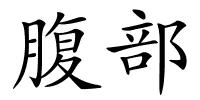 腹部的解释