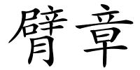 臂章的解释