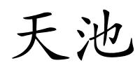 天池的解释