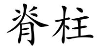 脊柱的解释