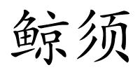 鲸须的解释