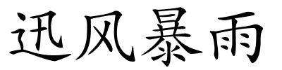 迅风暴雨的解释