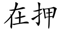 在押的解释