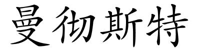 曼彻斯特的解释