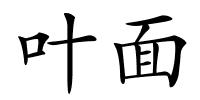 叶面的解释