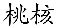 桃核的解释