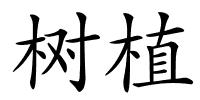 树植的解释