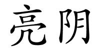 亮阴的解释