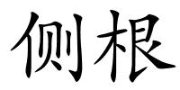 侧根的解释