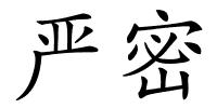 严密的解释