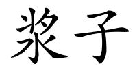 浆子的解释