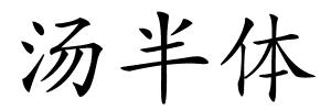 汤半体的解释