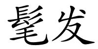 髦发的解释