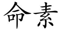 命素的解释