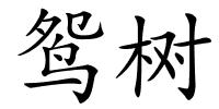 鸳树的解释