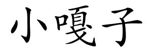 小嘎子的解释