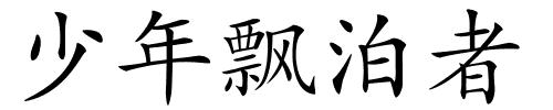 少年飘泊者的解释