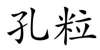 孔粒的解释