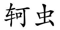 轲虫的解释