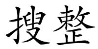 搜整的解释