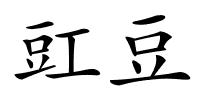 豇豆的解释