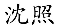 沈照的解释