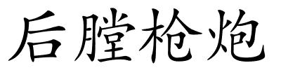 后膛枪炮的解释