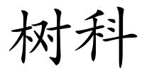 树科的解释