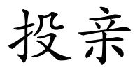投亲的解释