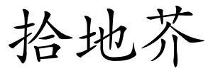 拾地芥的解释