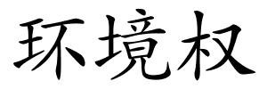 环境权的解释