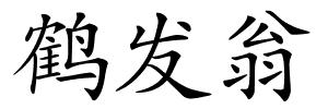 鹤发翁的解释