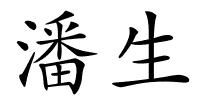 潘生的解释