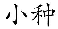 小种的解释