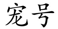 宠号的解释