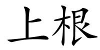 上根的解释