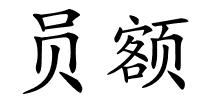 员额的解释