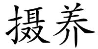 摄养的解释