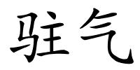 驻气的解释