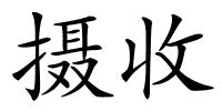 摄收的解释