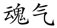 魂气的解释