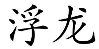 浮龙的解释