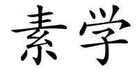 素学的解释