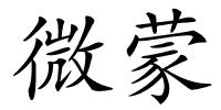 微蒙的解释