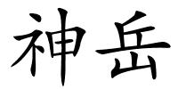 神岳的解释