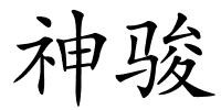 神骏的解释