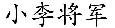 小李将军的解释