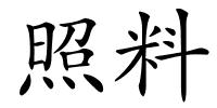 照料的解释