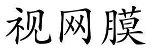 视网膜的解释