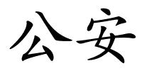 公安的解释